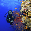 Laura Guy diving The Red Sea - Marsa Alam, Egypt