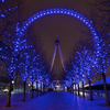 The London Eye