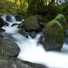 Golitha Falls, Cornwall