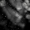 Water Droplets on a spiders web