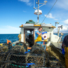 Jon & Martin sorting their catch - Newquay, Cornwall