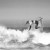 Surf's up! Boardmasters 2012, Fistral Beach, Newquay, Cornwall