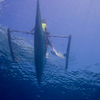 Local Fishing Boat, Apo Island, Liquid Dumaguete, Philippines
